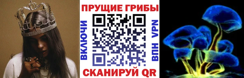 что такое наркотик  Мыски  Псилоцибиновые грибы Cubensis 